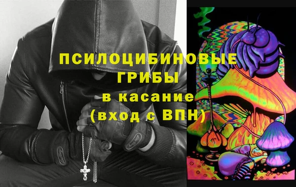 прущая мука Абаза