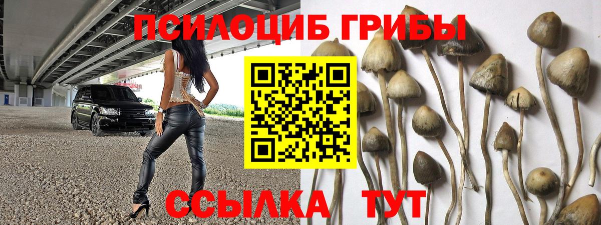 Нижнекамск  Галлюциногенные грибы MAGIC MUSHROOMS  цена наркотик  Вход с VPN 